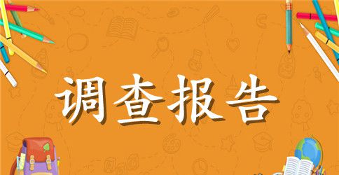 实习调查报告范文