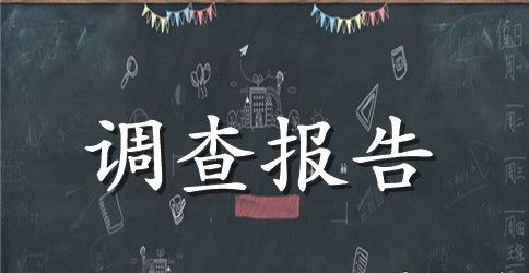 2023市场调查报告的内容结构