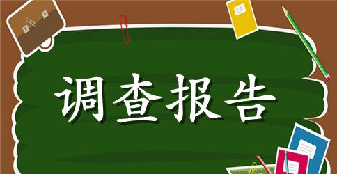 学生调查报告2篇
