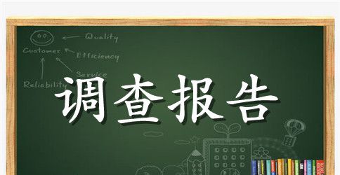 关于小学生的调查报告
