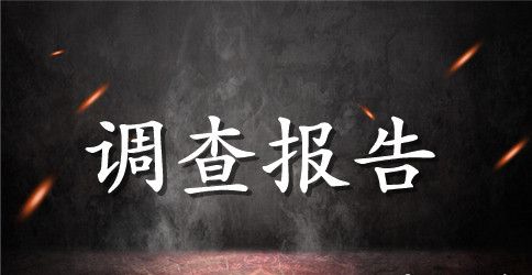 大学生社会实践调查报告范文