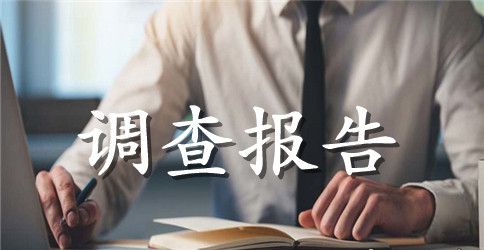 小企业会计核算调查报告范文