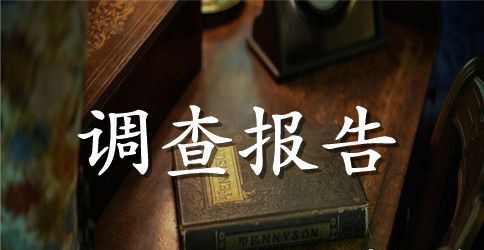 大学生网上消费调查报告