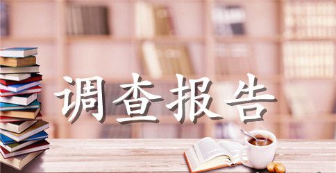 调查报告总结的格式