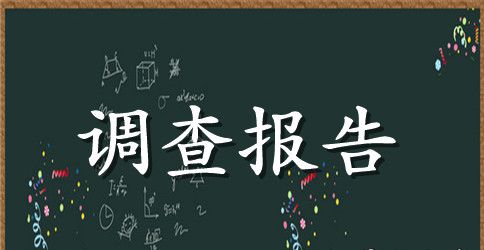 恋爱账单调查报告