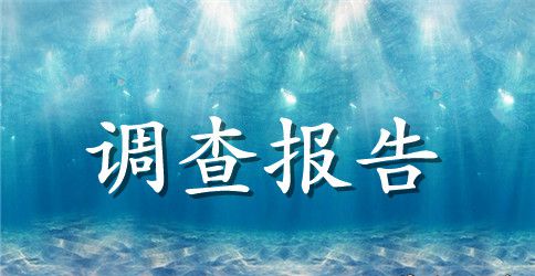 关于写农村调查报告