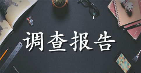 融资租赁尽职调查报告