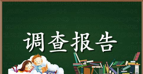 ERP软件的市场调查报告