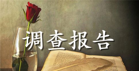 暑假实践调查报告精选范文