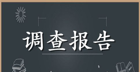 中学生消费状况调查报告模板