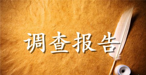 食品调查报告范文最新