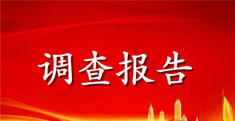 重大道路交通事故调查报告