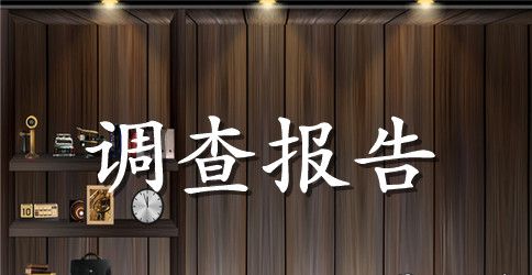 汽车市场调查报告模板