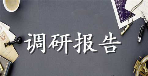城市公共交通运行管理工作调研报告