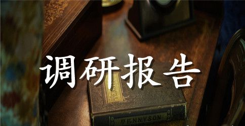 2023留守儿童现状调研报告范文（精选3篇）