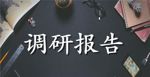 最新城市管理工作调研报告