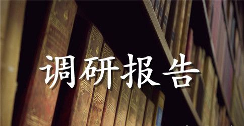 村情状况调研报告