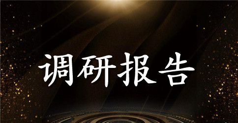 入户调研报告3篇