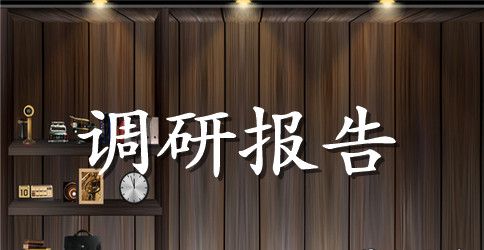 工资调研报告3篇