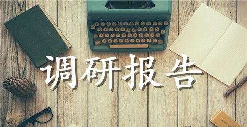 大学生调研报告4篇