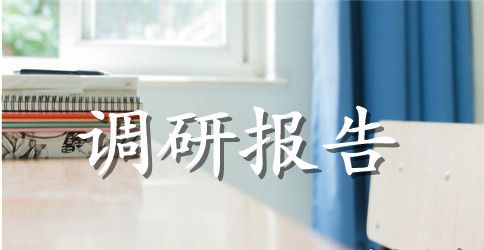 行业调研报告范文4篇