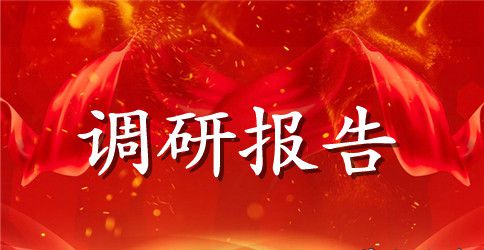 物资调研报告3篇