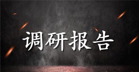 三万调研报告3篇