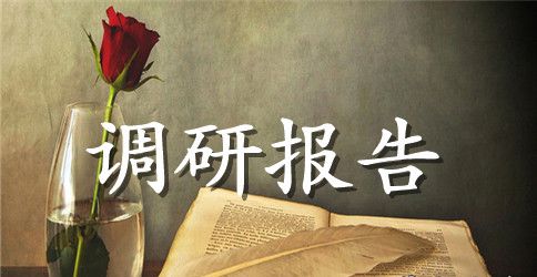 村精准扶贫调研报告范文