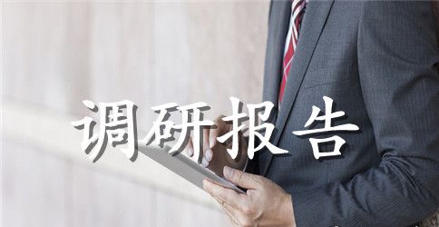 文化市场管理的调研报告