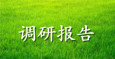 综合调研报告4篇
