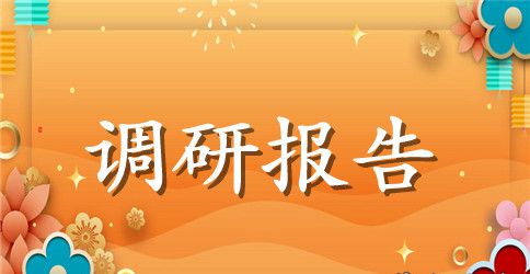 市委社会救助情况调研报告