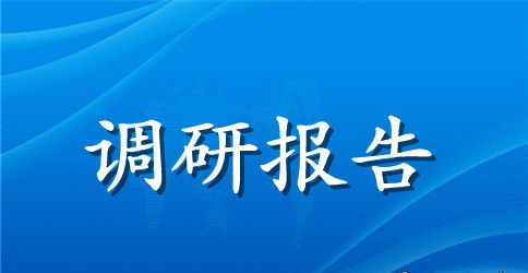 集体经济调研报告4篇