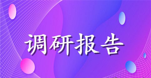 服装市场调研报告