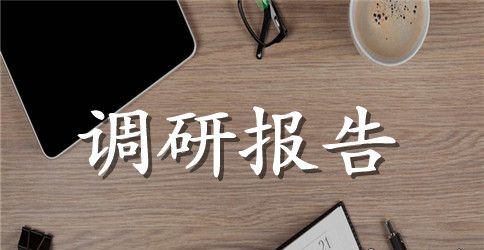 全市投资环境现状调研报告