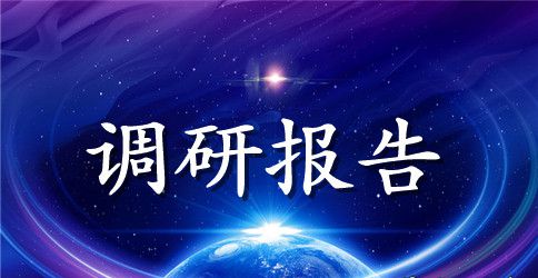年度全市团的工作调研报告