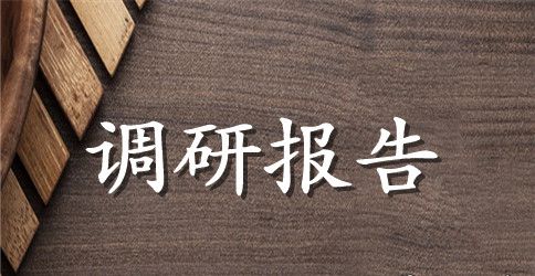 关于薪资调研报告范文