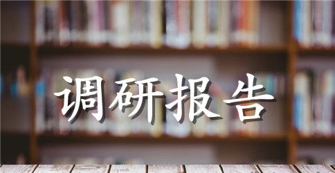 社会实践调研报告2023