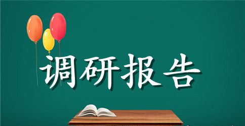 美丽新农村调研报告