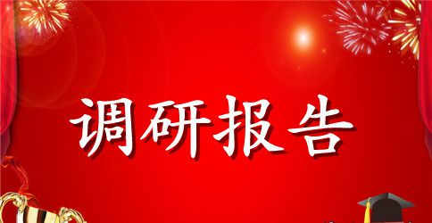 社会组织党建调研报告