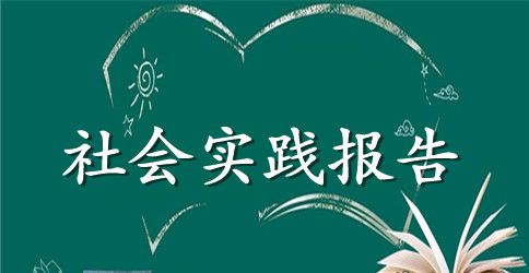 2023年大学生寒假电器厂社会实践报告范文