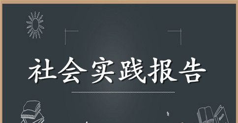 2023销售实践报告范文3000字
