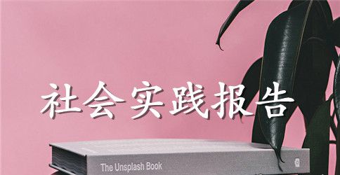 会计专业社会实践心得体会
