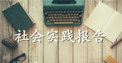 大学生社会实践报告论文3000