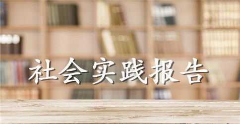 地税局实习报告范文精选5篇
