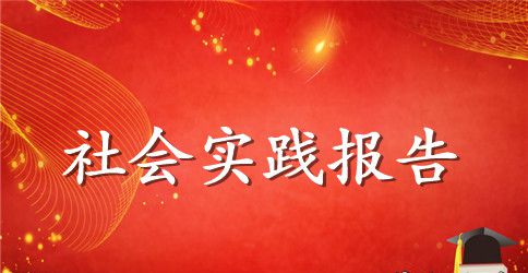 暑期数学老师社会实践报告2000字