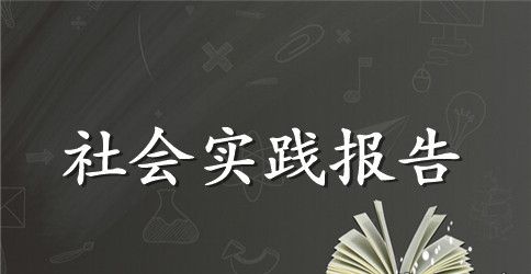2023导购员社会实践报告范文