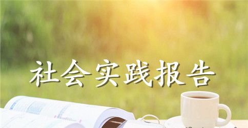 顶岗实习社会实践报告范文