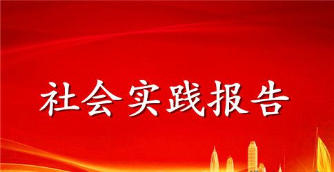 2023年会计专业大学生暑期社会实践调查报告范文