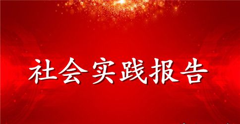 德育实践报告范文3篇