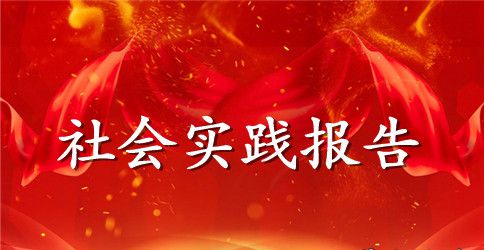 2023学生社会实践活动报告范文